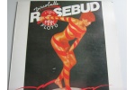 Rosebud   Discob 57b2d5209fadd