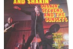 Shakin  Stevens  56cacbed41c19