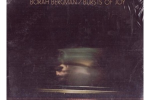Borah Bergman    558fb6de672e5